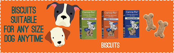 Biscuits suitable for any size dog, anytime