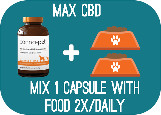 MaxCBD - Mix 1 capsule with food 2x daily