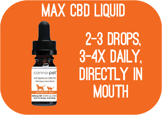 MaxCBD Liquid - 2-3 drops, 3-4x daily, directly in mouth