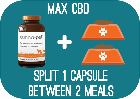 MaxCBD - Split 1 capsule between 2 meals