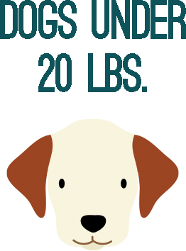 Dogs under 20 lbs