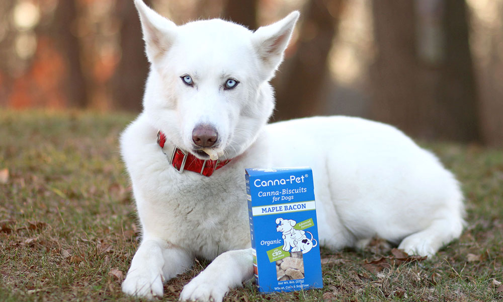 Canna Pet Dog with products