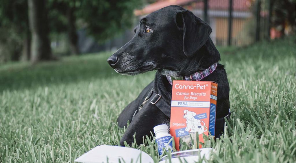 Canna pet coupon code