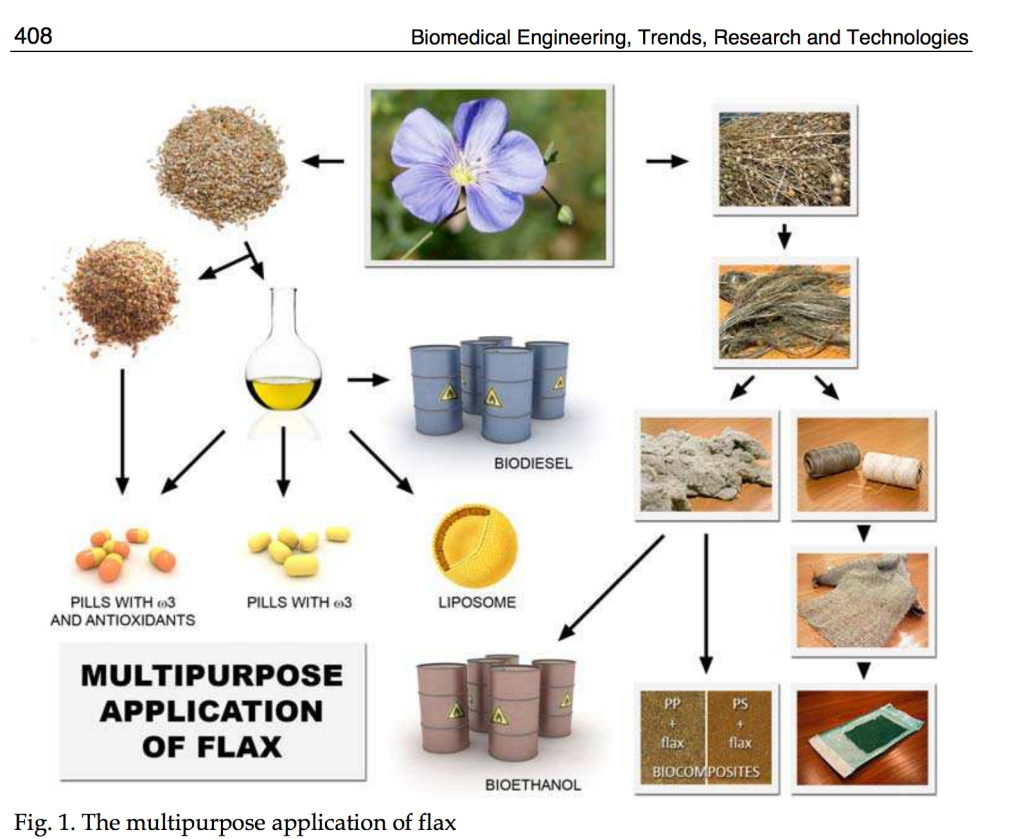 applications of flax