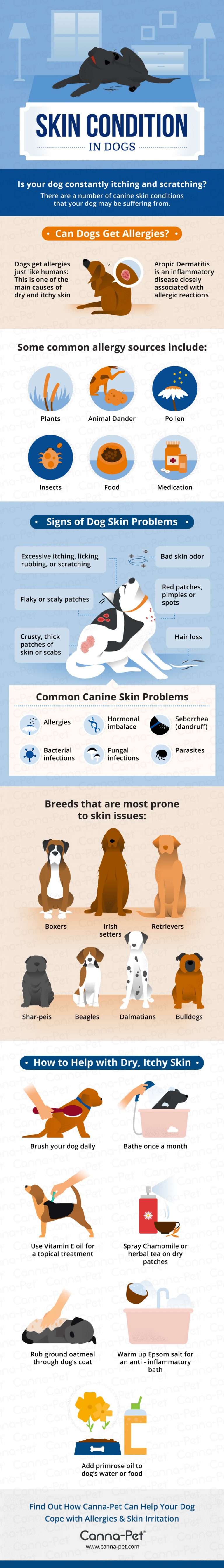 Dog Skin Conditions and Natural Treatments | Canna-Pet®