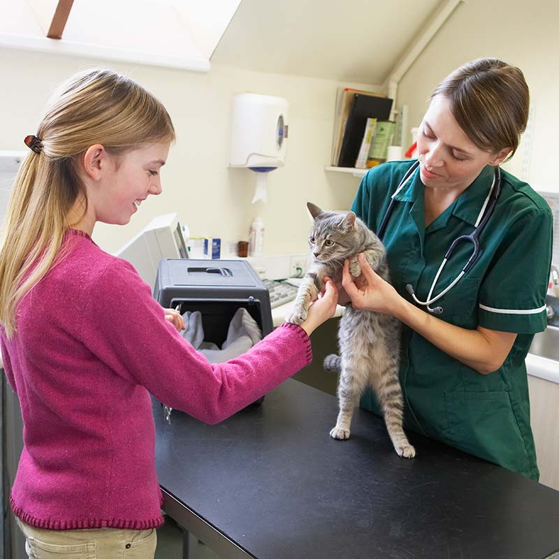 veterinarian-and-client