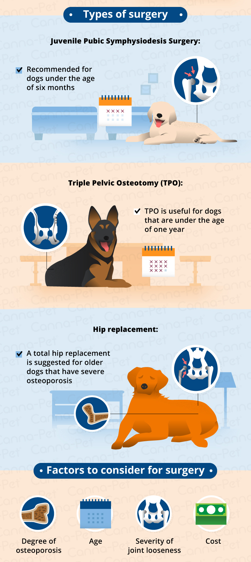 Hip Dysplasia in Dogs