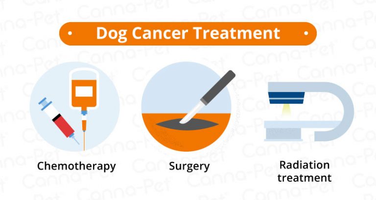 Cancer in Dogs: Causes, Symptoms, & Treatments | Canna-Pet