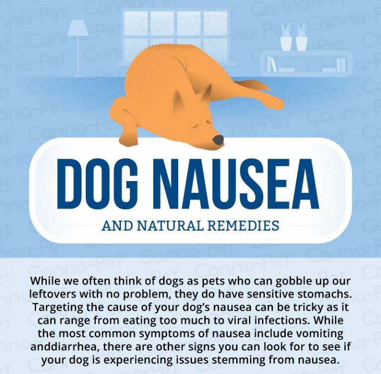 Dog Nausea & Natural Remedies CannaPet®