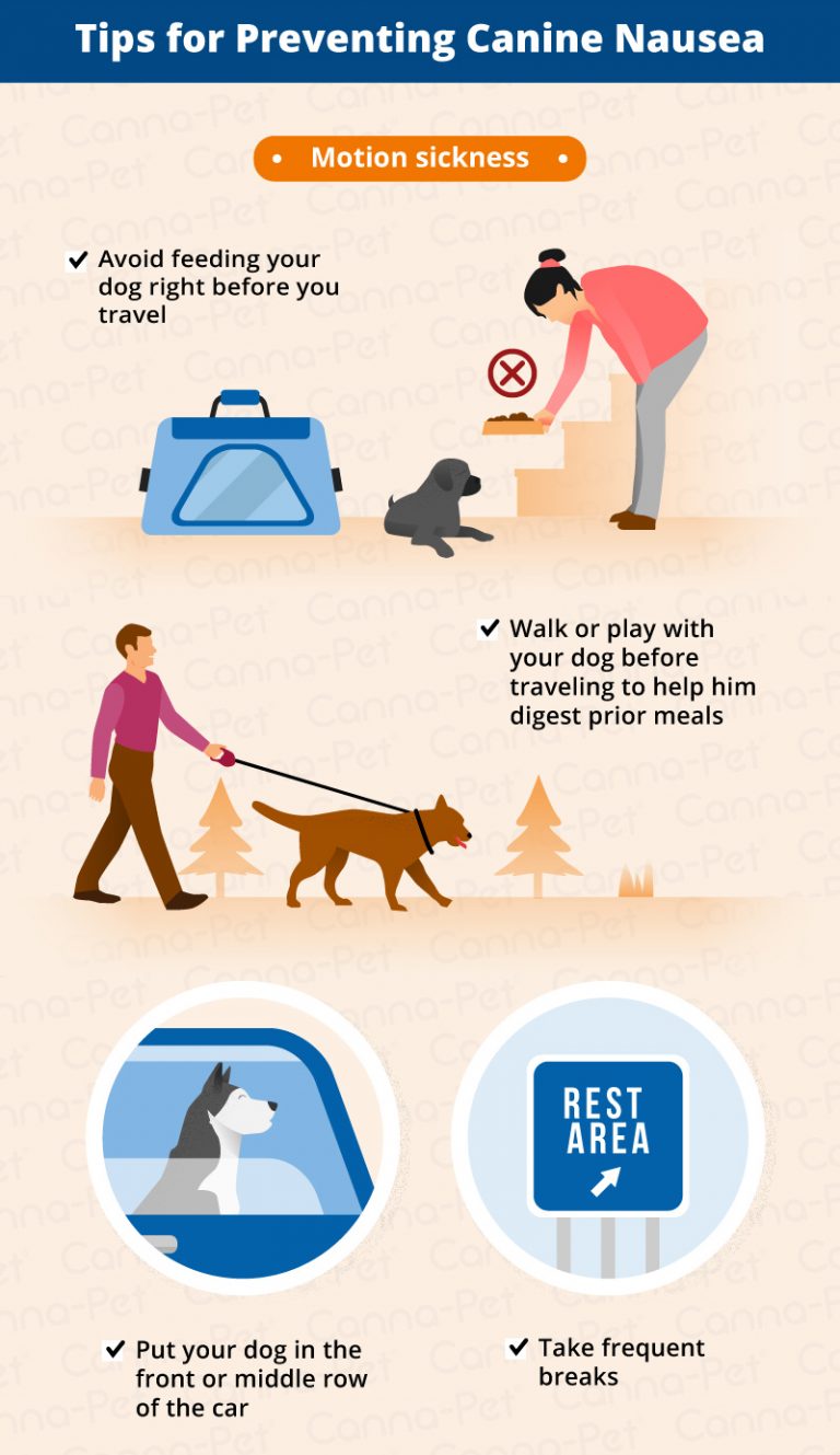 Dog Nausea & Natural Remedies CannaPet®