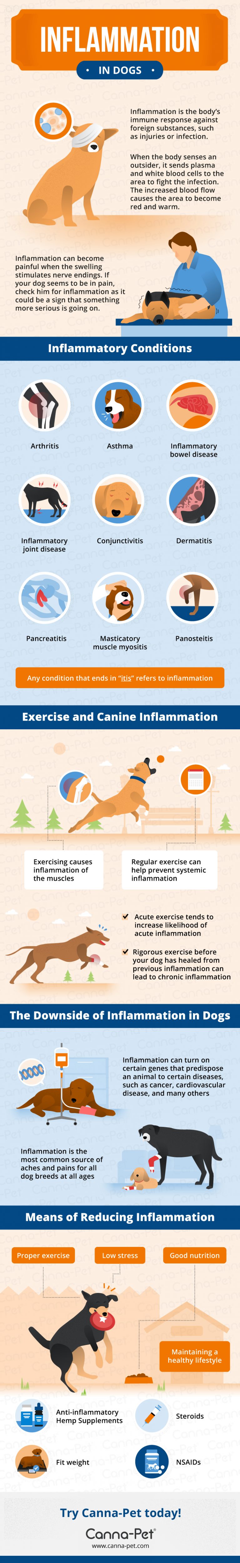 Inflammation in Dogs - Canna-Pet®