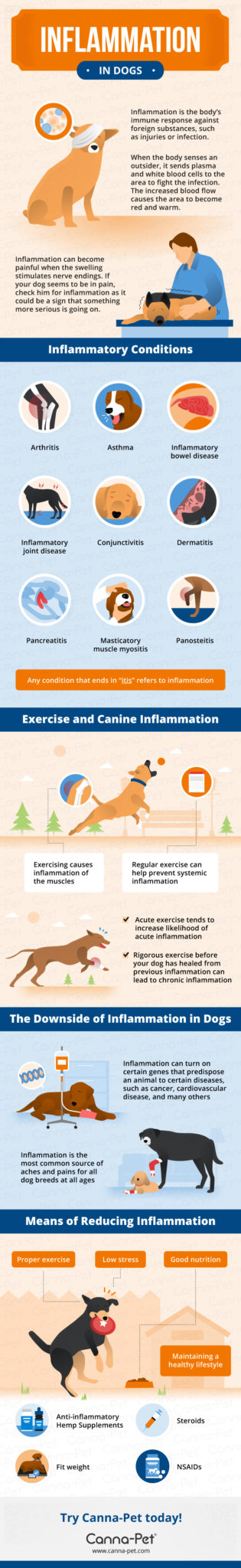 Inflammation in Dogs Infographic
