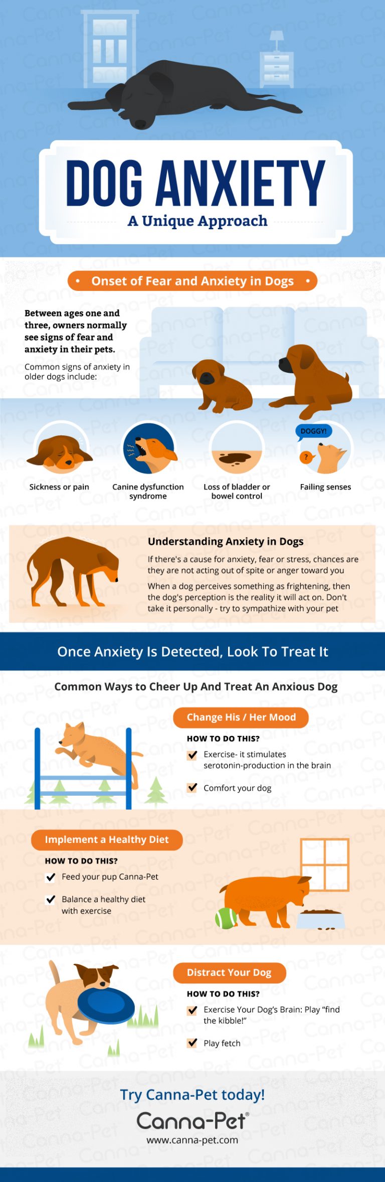 Dog Anxiety & Natural Remedies: A Complete Guide | Canna-Pet®