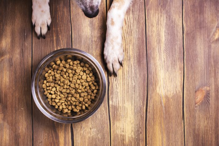 dog food nutrients