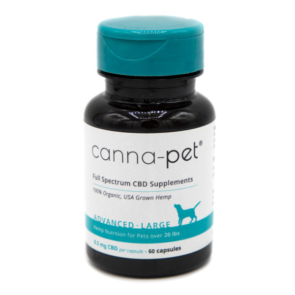 A bottle of advanced large cbd for pets - pet cbd for dogs - Canna-Pet product