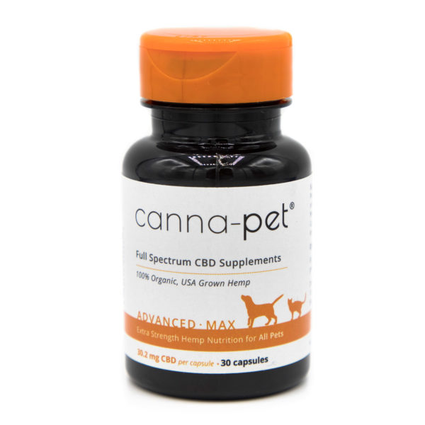 cbd for dogs and cats