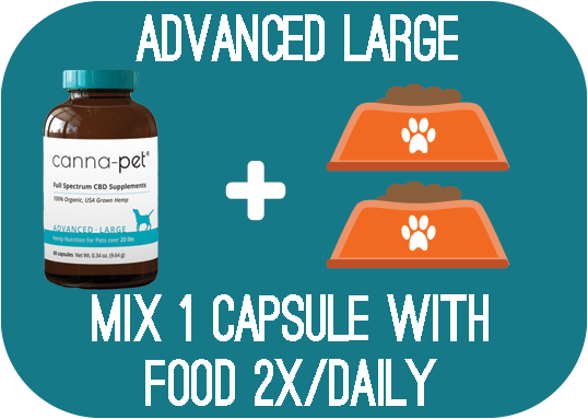 Capsules: Canna-Pet® Advanced Large – 60 capsules - Mix 1 capsule with food 2x daily
