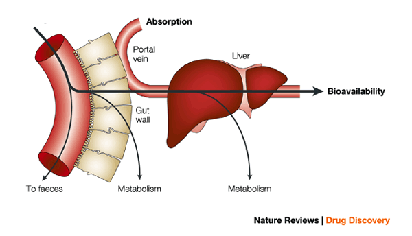 define-first-pass-metabolism-of-drug-pharmacology-l-brainly-in