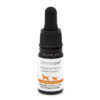 full spectrum hemp oil for dogs
