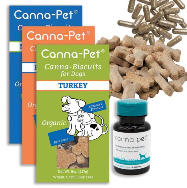 CBD for dogs. CBD biscuits and capsules