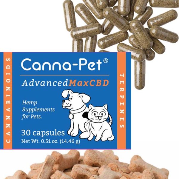 Canna-Pet¨ Advanced MaxCBD- 30 count capsules & MaxCBD Biscuits Combo Pack