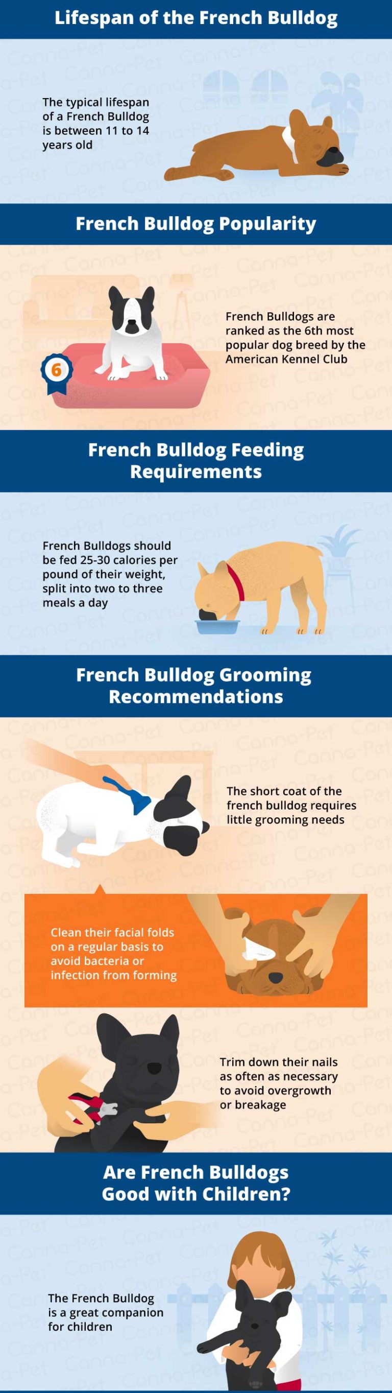 French Bulldog [Frenchie] Dog & Puppy Breed Guide | Canna-Pet