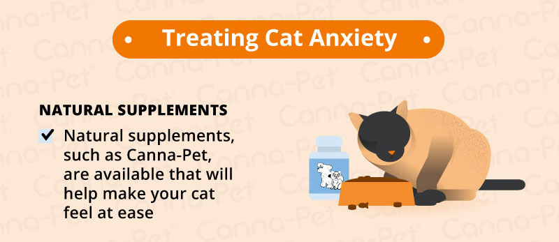 Stressed cats outlet remedies