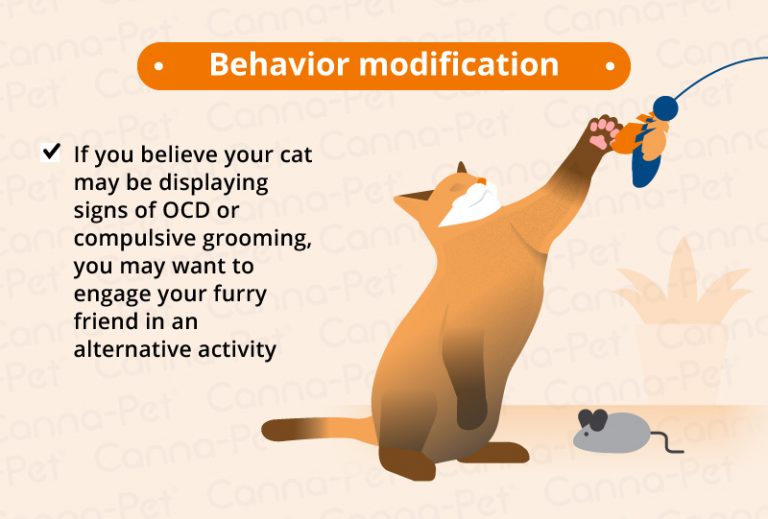 Cat Nausea & Natural Treatments CannaPet