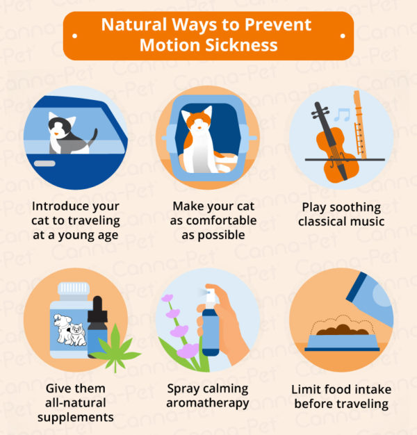 Cat Nausea & Natural Treatments CannaPet