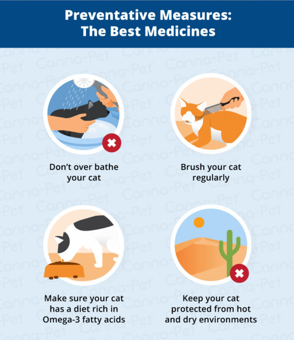 Cat Skin Conditions & Natural Remedies CannaPet