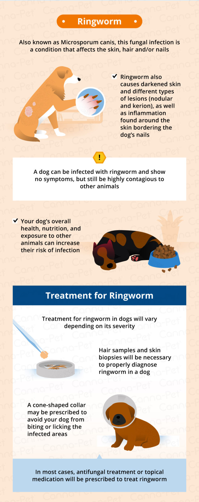 Dog Hair Loss: Common Causes & Treatment | Canna-Pet