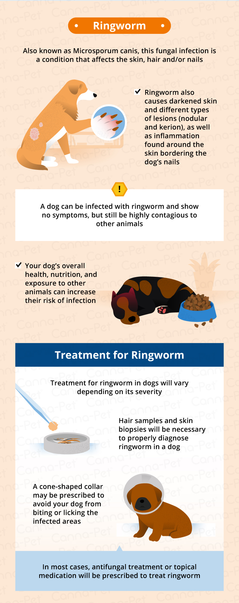 Dog Hair Loss: Common Causes & Treatment | Canna-Pet