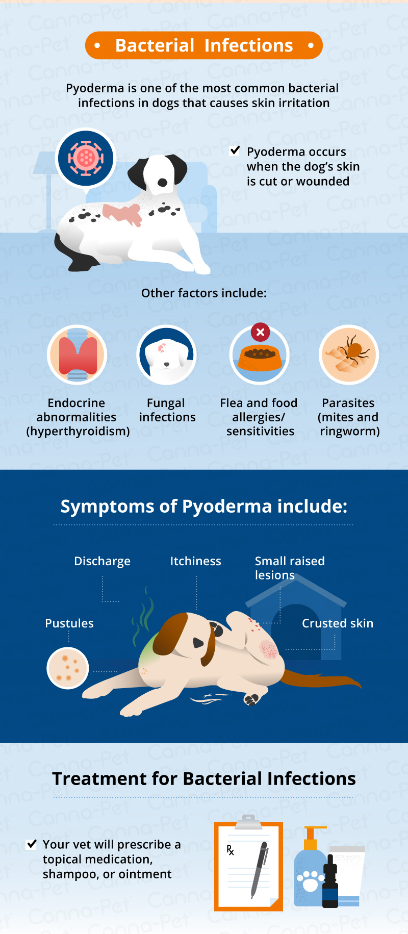 Bacterial infections in dogs