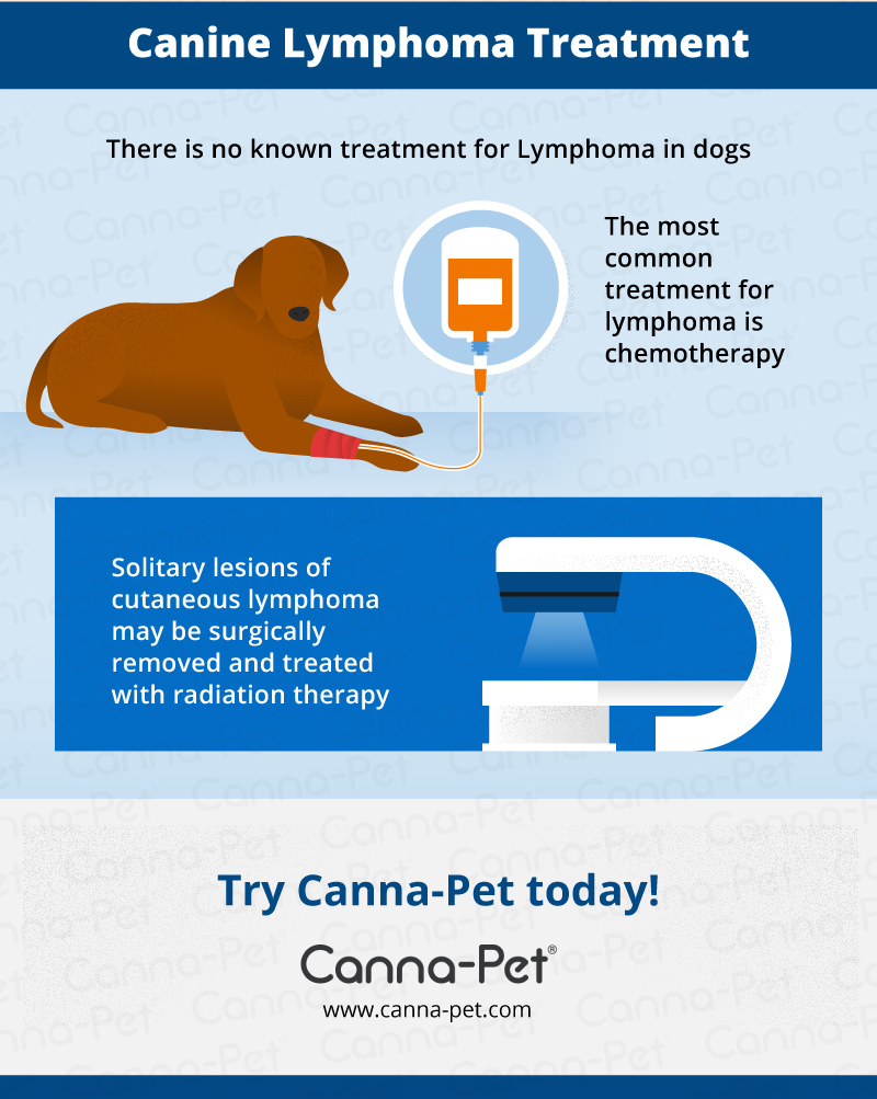 Treatment for Dog Lymphoma