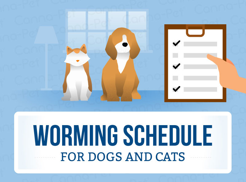Worming Schedules for Cats & Dogs CannaPet