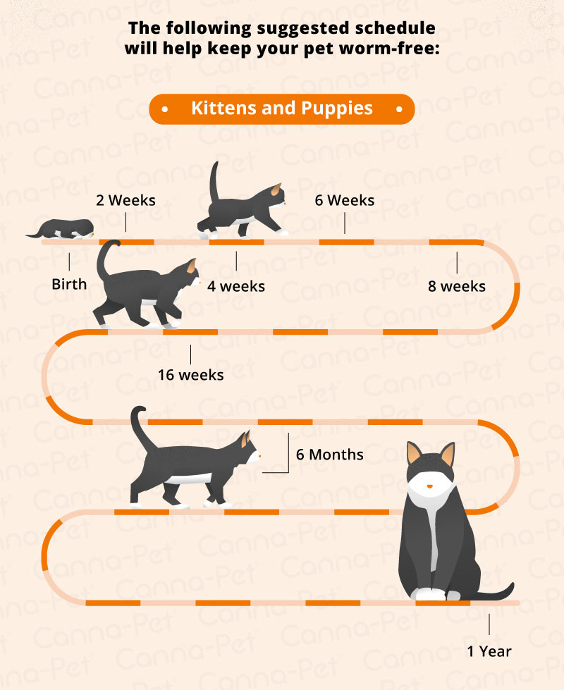 Worming Schedules for Dogs and Cats | Canna-Pet