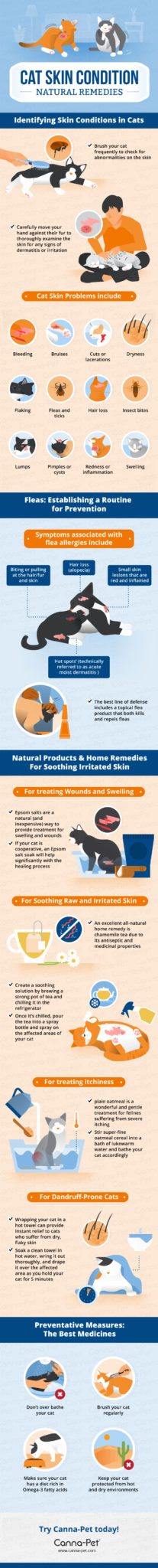 Cat Skin Conditions and Natural Remedies Infographic