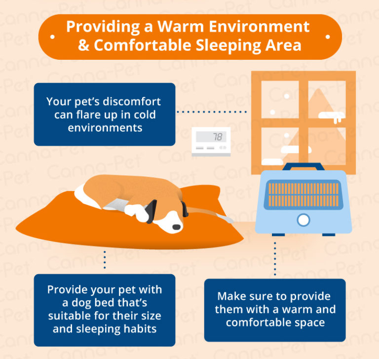 Osteoarthritis in Dogs Causes, Symptoms & Management CannaPet