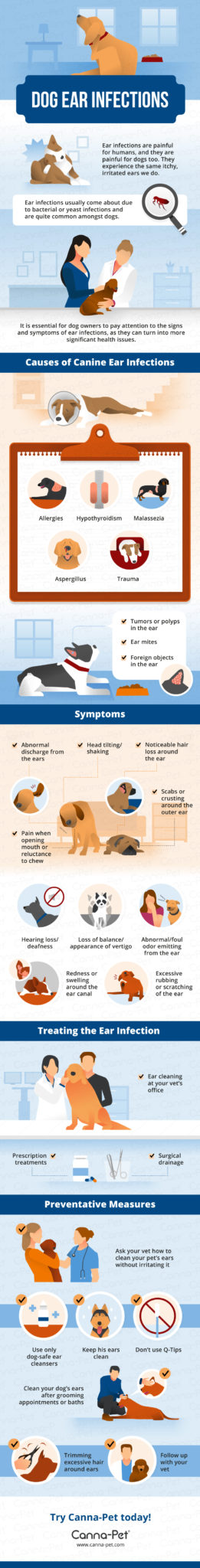 ear infection in dogs