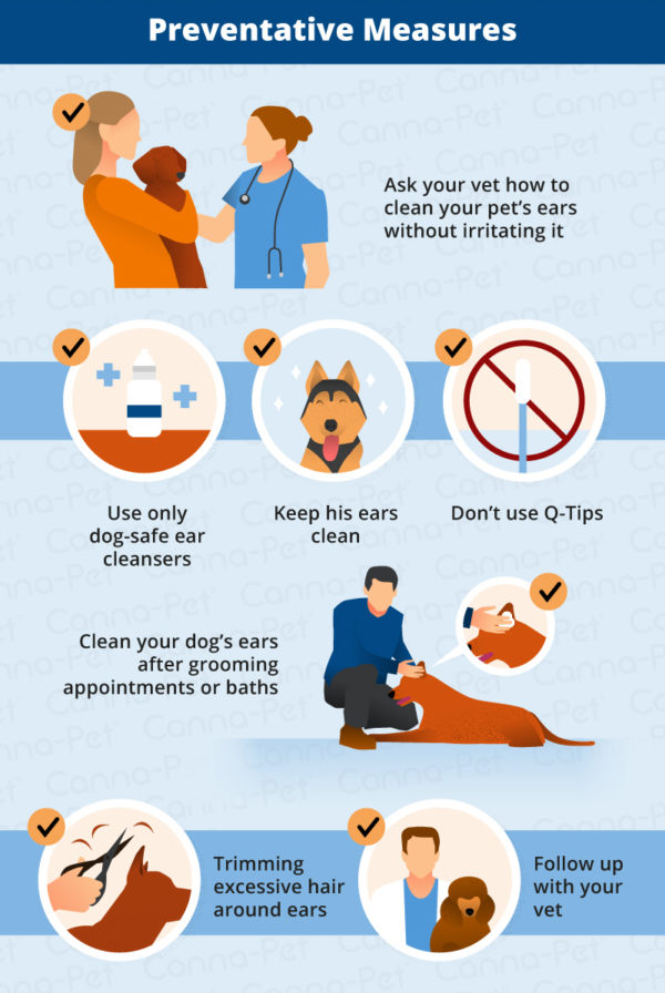 Dog Ear Infections Types, Causes, & Treatment CannaPet