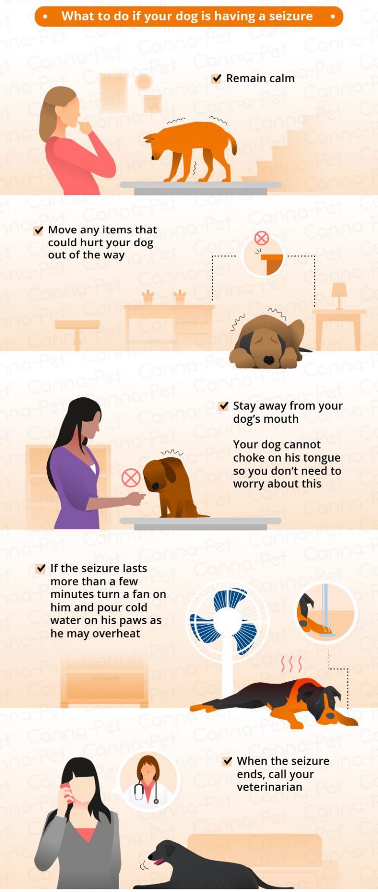 Dog Seizure Symptoms & Natural Remedies | Canna-Pet®