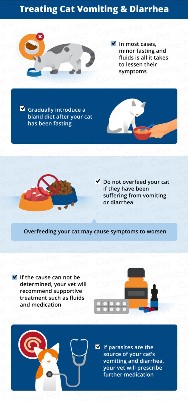 Causes of Vomiting & Diarrhea in Cats | Canna-Pet