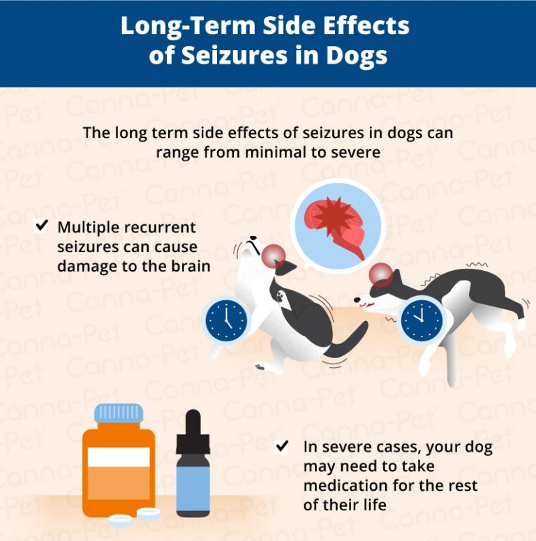 Side Effects of Dog Seizures | Canna-Pet