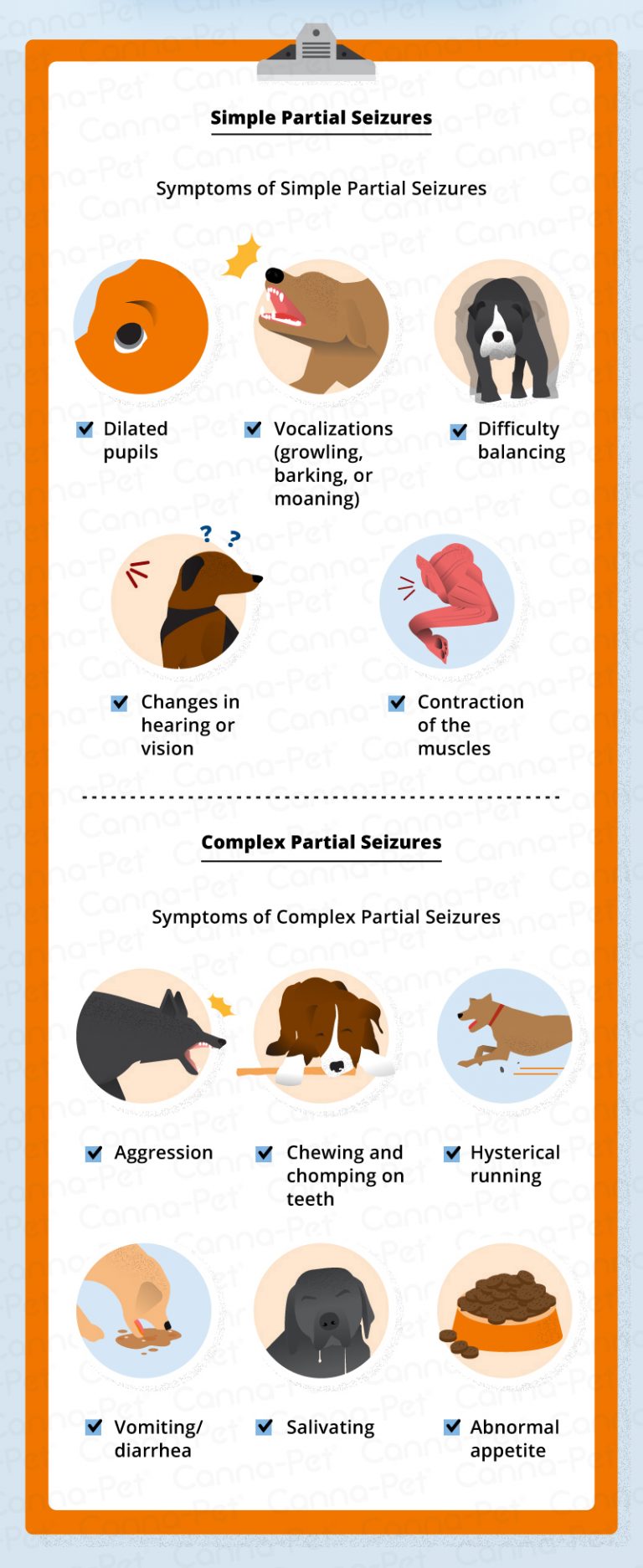 Types of Seizures in Dogs | Canna-Pet