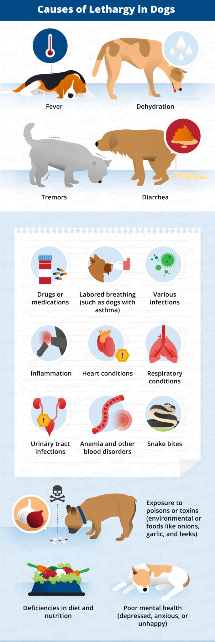 causes of lethargy in dogs