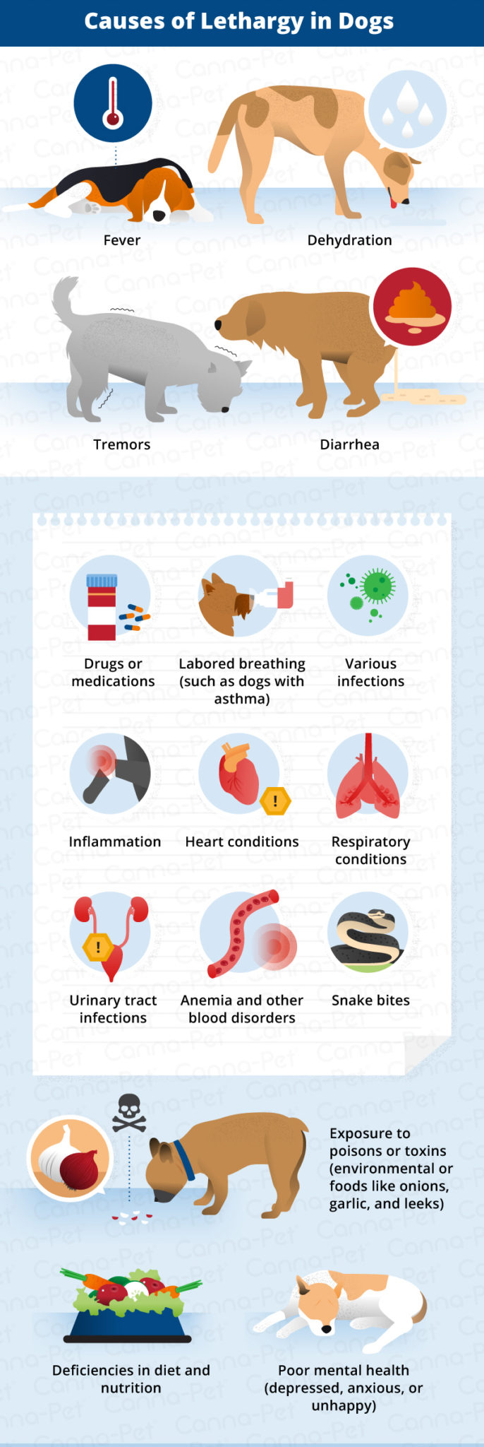 Dog lethargic cheap after diarrhea