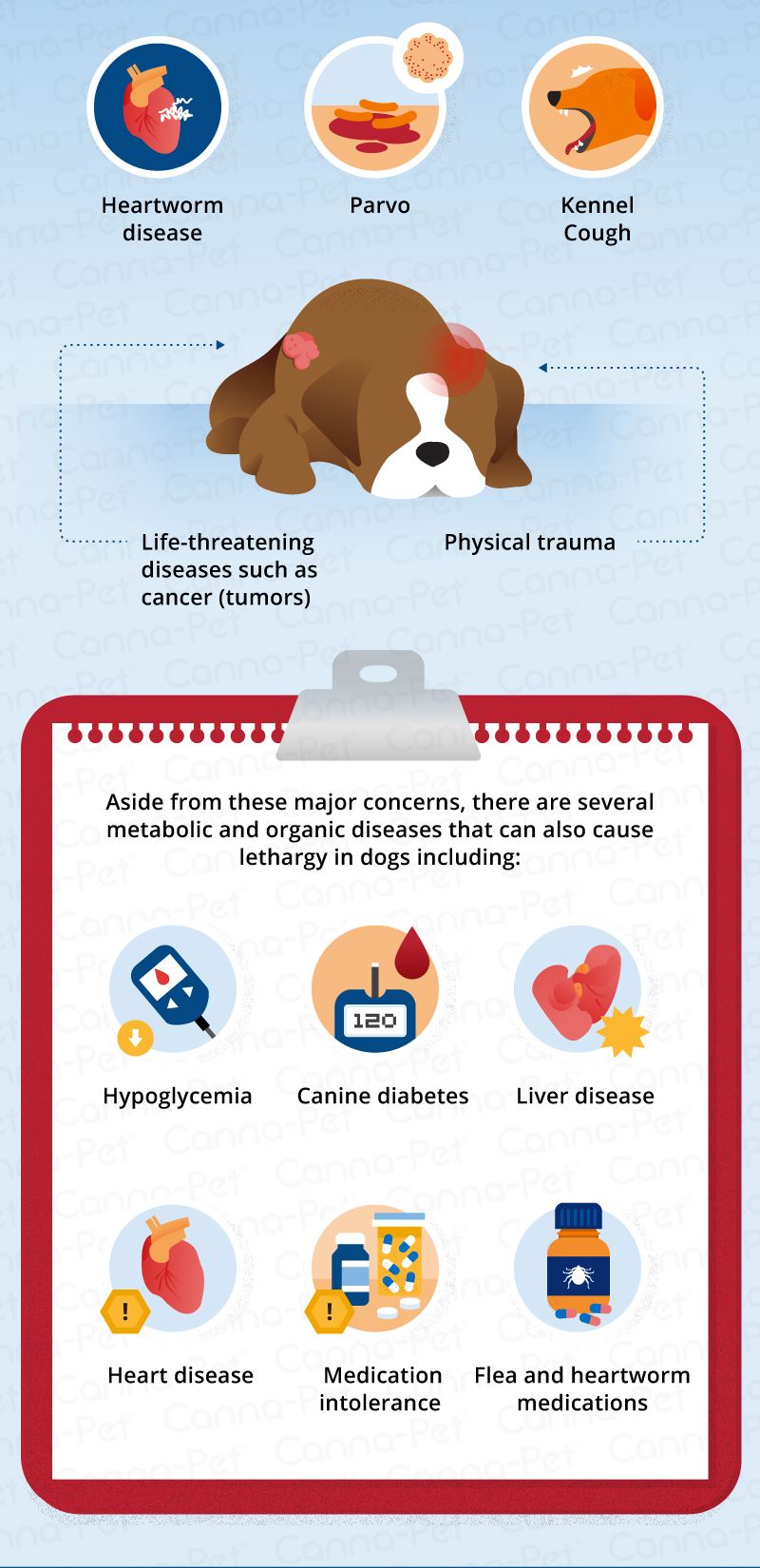 causes of lethargy continued