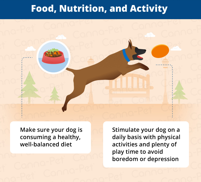 Food, nutrition, and activity 