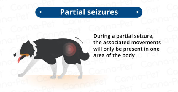 Cluster Seizures in Dogs | Canna-Pet®