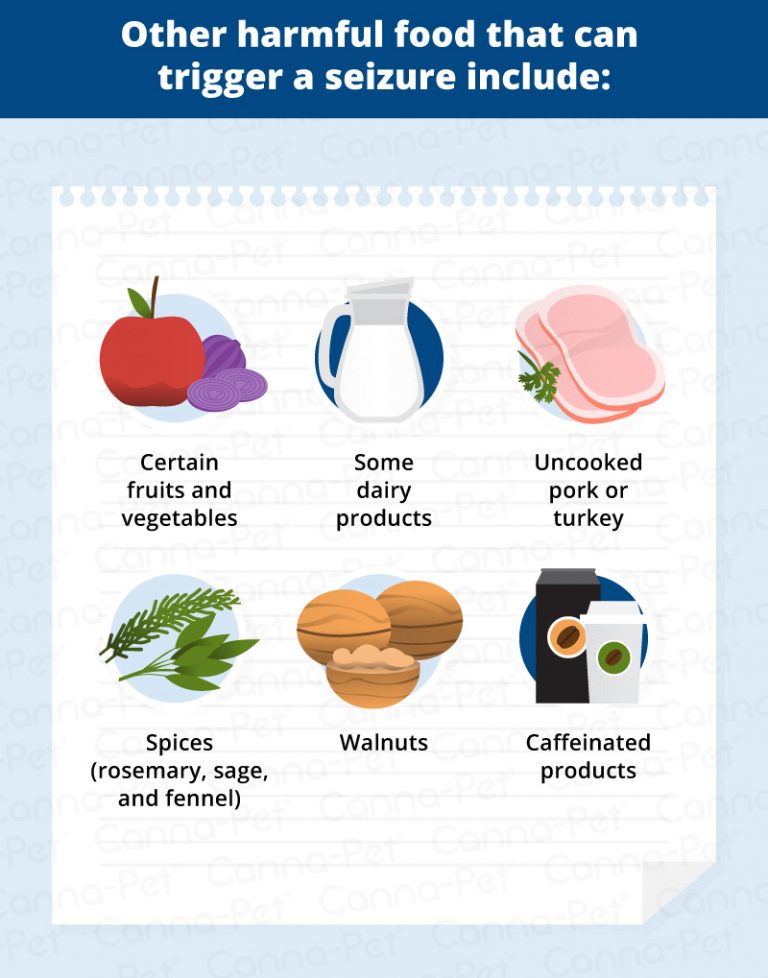 dog-seizures-triggers-causes-treatments-canna-pet